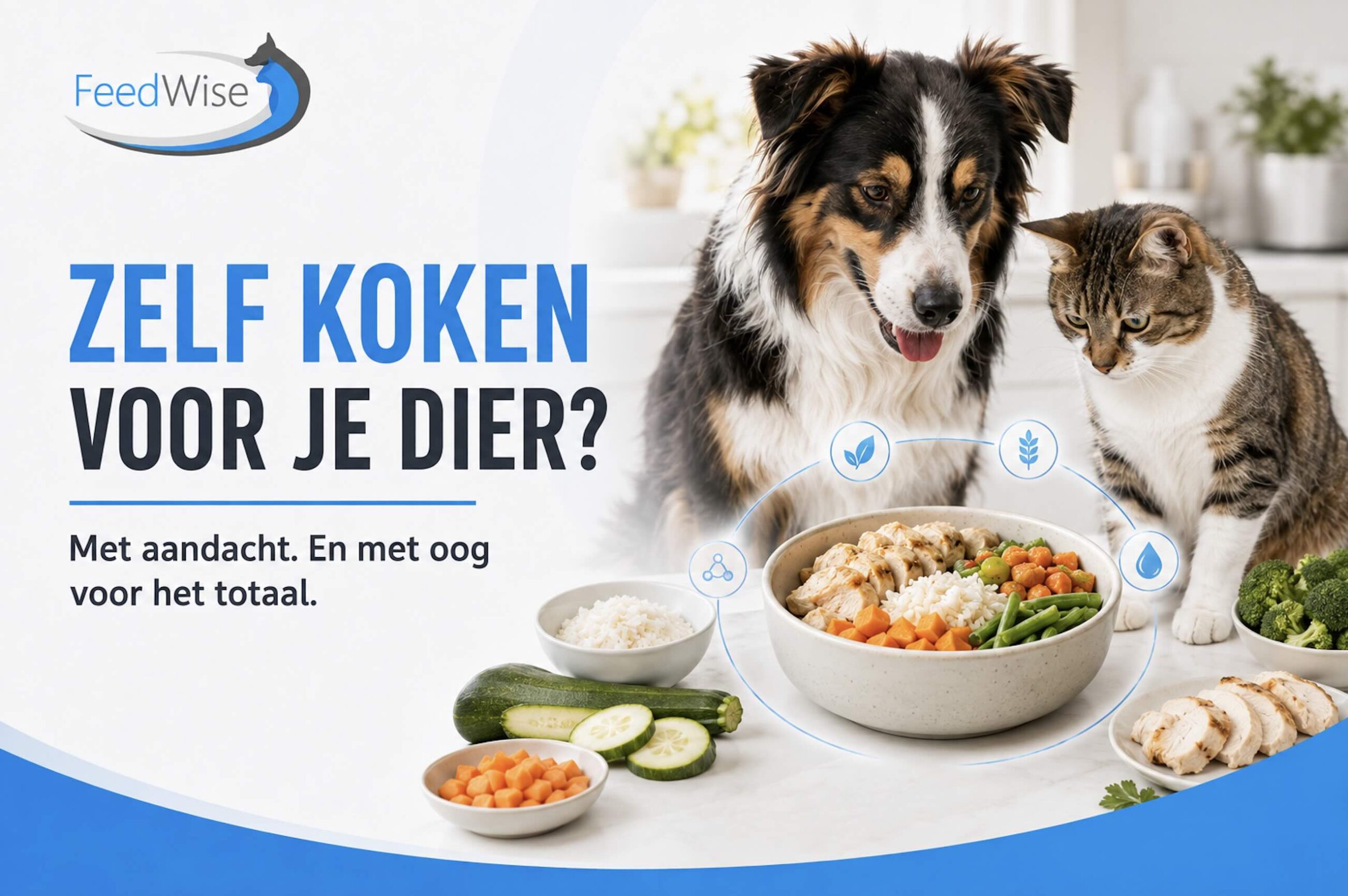 FeedWise-infographic: hond en kat bij een kom met verse ingrediënten – zelf koken voor je dier, met aandacht en met oog voor het totaal